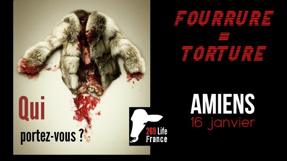 texte qui dit ’FOURRURE Hom TORTURE Qui portez-vous? 269 Life France AMIENS 16 janvier’